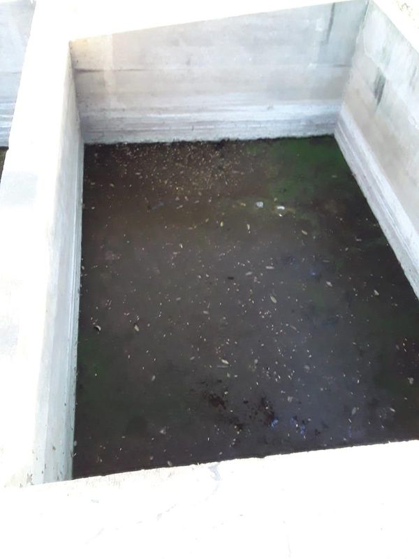 Matadero de Yaguarón “con olores nauseabundos y exceso de animales”