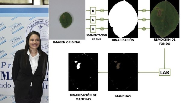 JOVEN UNIVERSITARIA DESARROLLA PROGRAMA QUE IDENTIFICA LA ENFERMEDAD MÁS COMÚN EN LA SOJA