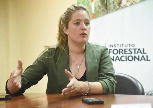 Desde Infona afirman que el camión denunciado por Payo no era rollotráfico » Ñanduti