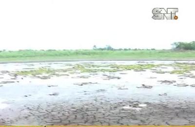 Bajante del río amenaza al 'Yakaré Yrupé' - SNT
