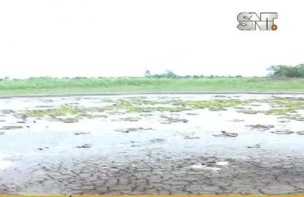 Bajante del río amenaza al 'Yakaré Yrupé' - SNT