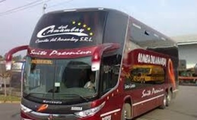 Mujer quedó dormida en un bus y hombre intentó aprovecharse