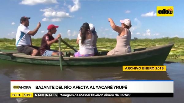Bajante del río afecta al yacaré yrupê - ABC Noticias - ABC Color