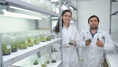 La UNA, cuna de la producción científica paraguaya