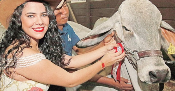 Navila aproblemada por venta de auto