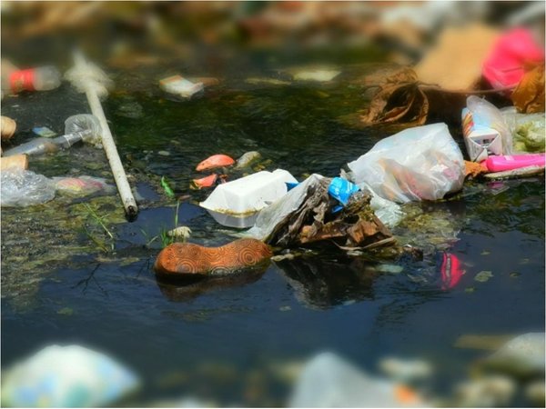 Desidia e inconsciencia minan de basura tóxica los cursos de agua