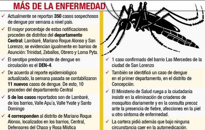 Alertan sobre nuevos casos de dengue en Dpto. Central - Locales - ABC Color