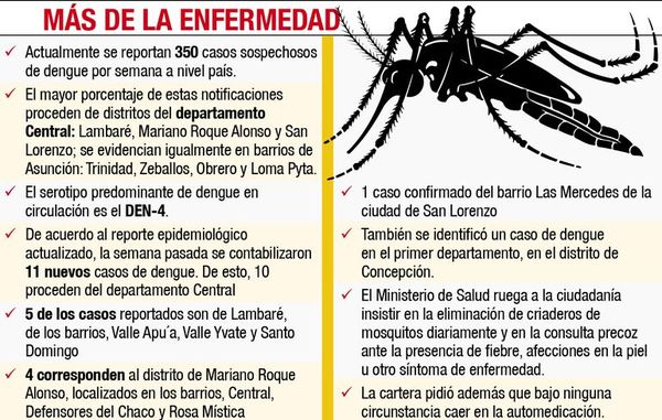 Alertan sobre nuevos casos de dengue en Dpto. Central - Locales - ABC Color