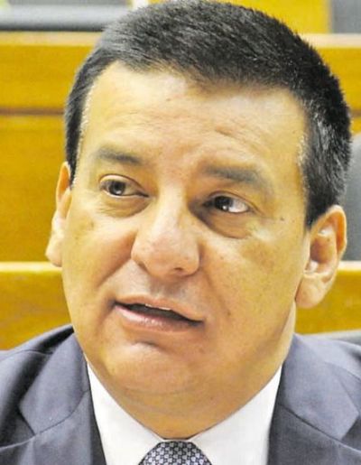 Diputado colorado califica de delincuente a Cynthia Tarragó - Política - ABC Color