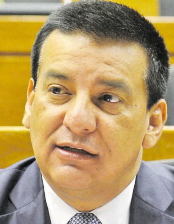 Diputado colorado califica de delincuente a Cynthia Tarragó - Política - ABC Color
