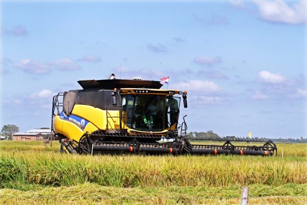 Importación de nuevas maquinarias caen 30%