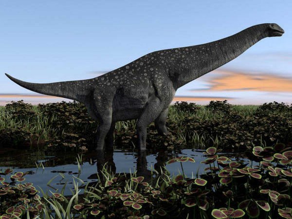 Hallan restos fósiles de titanosaurio de hace 85 millones de años