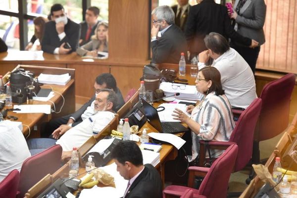 Senado rechaza creación de más cargos en el Ministerio Público - Nacionales - ABC Color