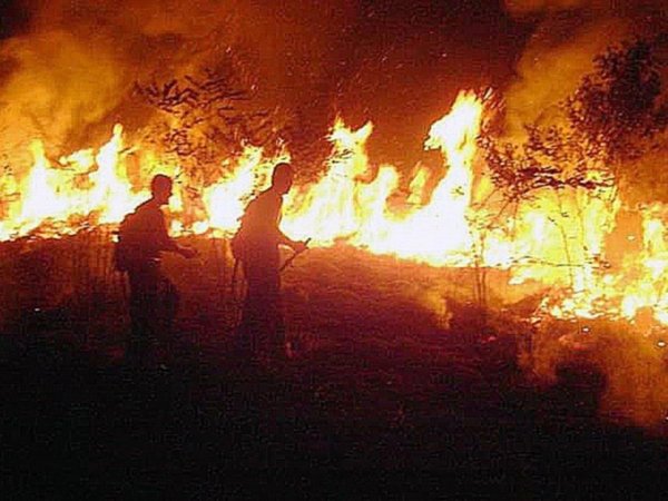 Arrestan en Brasil a voluntarios que combatieron el fuego en la Amazonía