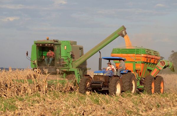 Tecnología espacial para desarrollo de la agricultura - Nacionales - ABC Color