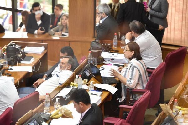 Senado rechaza creación de más cargos en el Ministerio Público - Digital Misiones