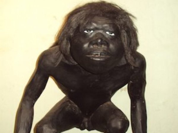 El "raro" pombero que causó miedo...y chistes