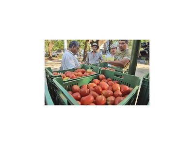 Precio del tomate se encarece 30% en las distribuidoras