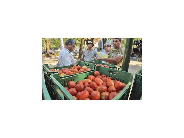Precio del tomate se encarece 30% en las distribuidoras
