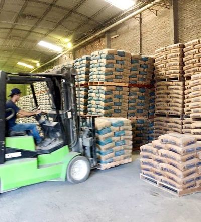 Importación de cemento es hasta 6.000 t al mes - Economía - ABC Color