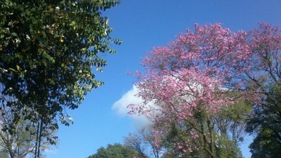 Jueves caluroso y sin lluvias, anuncia Meteorología