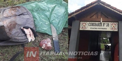 INVESTIGAN HECHOS DE ABIGEATO EN ENCARNACIÓN