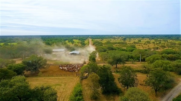 Chaco: Fiscal imputó y pidió prisión para empresario por deforestar reserva