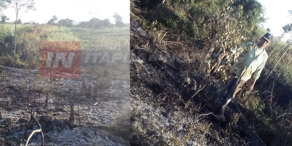 DENUNCIAN INCENDIO PROVOCADO A UNA PARCELA AGRÍCOLA