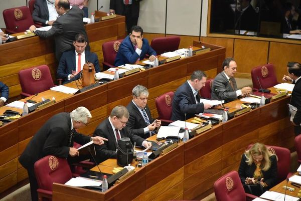 Senado decidirá si declaraciones juradas son públicas - Nacionales - ABC Color