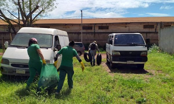 El Dengue Mata: inicia nueva campaña contra el mosquito transmisor