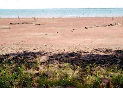 Embalse ya bajó más de dos metros y medio - Economía - ABC Color