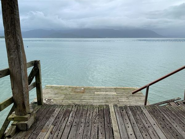 Pesca ancestral y refugio ballenero en Florianópolis, joya del sur de Brasil - Viajes - ABC Color