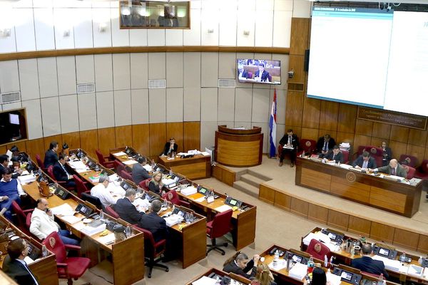 El Senado incluyó aumentazos en el PGN para funcionarios públicos