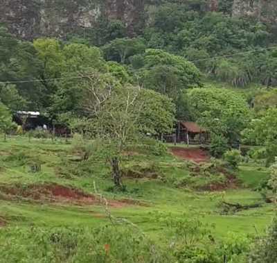Policía justifica muerte de propietario de estancia, pese a que era inocente en investigación