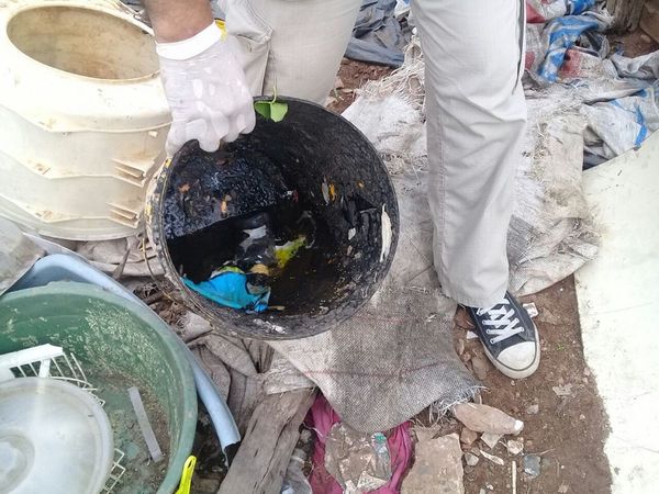 Epidemia de Dengue: 60 % de los casos en área metropolitana