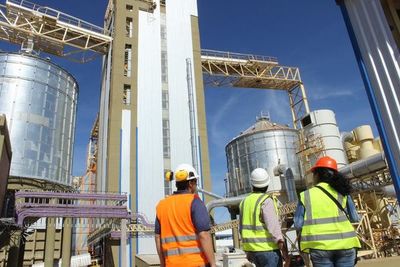 Molienda se reduce en alrededor de 200 mil toneladas