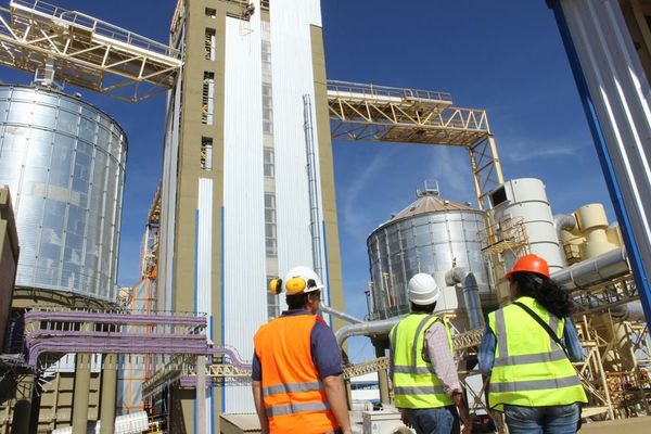 Molienda se reduce en alrededor de 200 mil toneladas