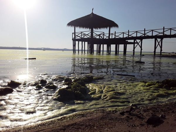 Otra comisión para tratar de salvar el lago Ypacaraí - Nacionales - ABC Color