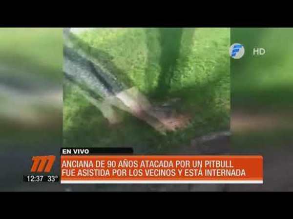 Anciana de 90 años fue atacada por un Pitbull