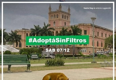 HOY / Lanzan campaña de adopción con filtro de Instagram