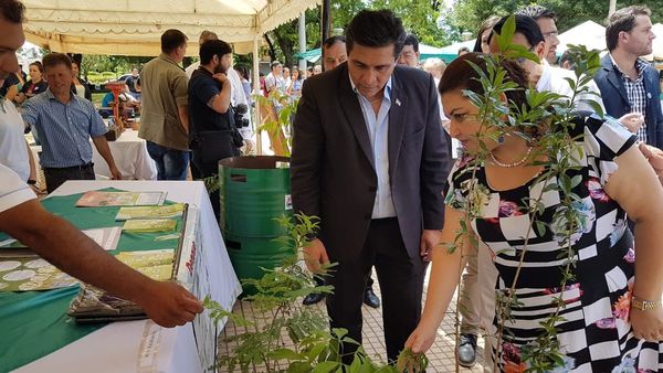 Realizan primera expo feria ambiental en Caaguazú