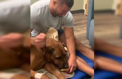 Hombre llora desconsolado mientras le da de comer a su perro por última vez - SNT