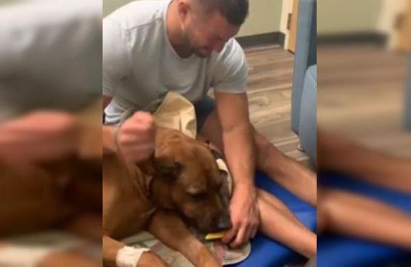 Hombre llora desconsolado mientras le da de comer a su perro por última vez - SNT
