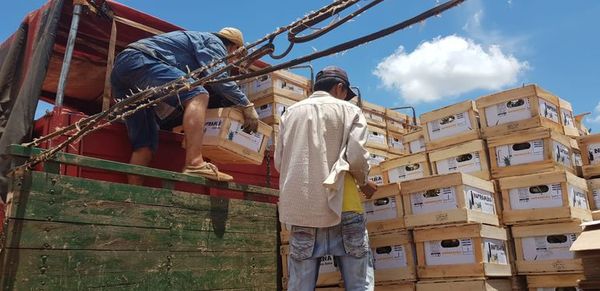 Agroexportadores adquieren piñas del distrito de Horqueta - Nacionales - ABC Color