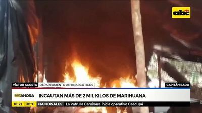 Incautan más de 2 mil kilos de marihuana - ABC Noticias - ABC Color