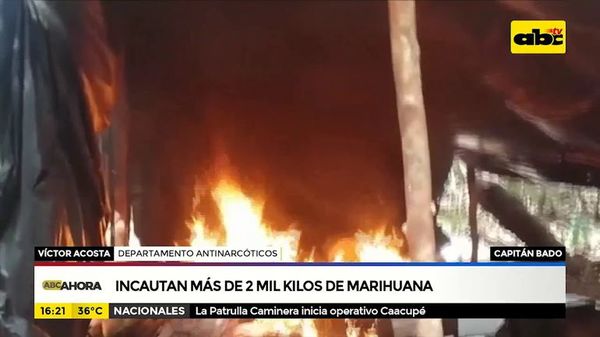 Incautan más de 2 mil kilos de marihuana - ABC Noticias - ABC Color