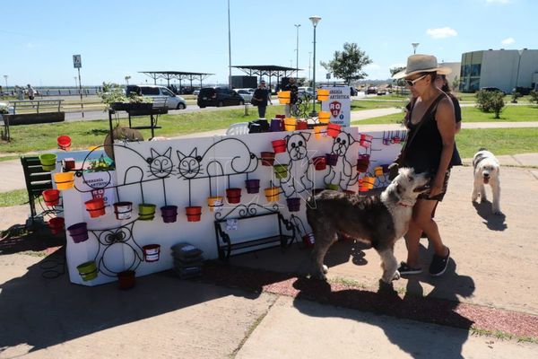 “Donatón por los animales Paraguay” mañana en la Costanera