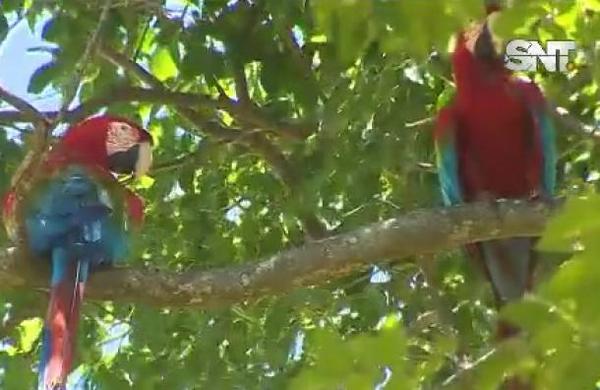 SNT al Natural: Los ecosistemas de nuestro territorio. - SNT