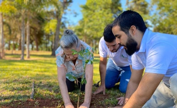 HOY / A Todo Pulmón cierra el año con más de 450.000 árboles plantados