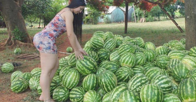 La compradora de sandía más hot